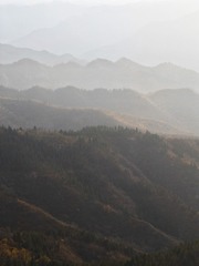 1000168527