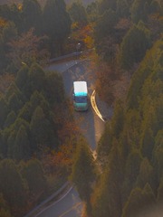 1000168525