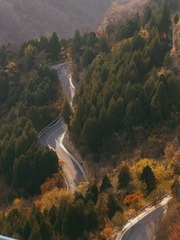 1000168526