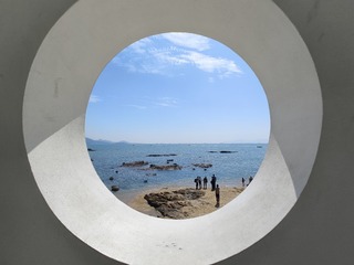 1000016506