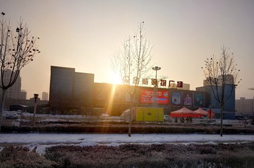 3786830