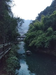 1000036433