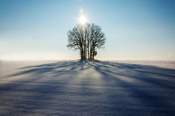 456836