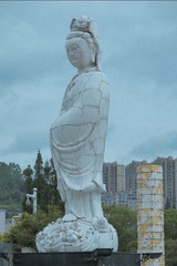 1000224272