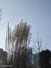 1000029562