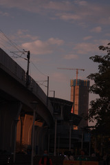 1000014803