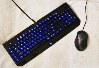 IMGP4485.JPG