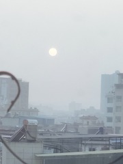 250521