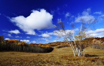 _DSC6783.jpg