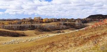 _DSC6848.jpg