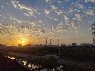 1000021382
