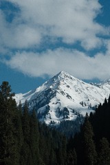 18733