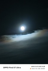 1000008275