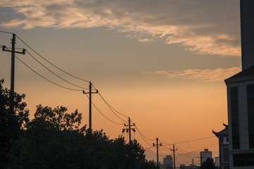 1000017503