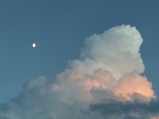 1000061742