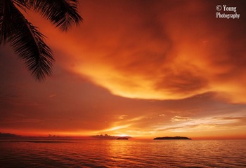 _MG_0632-1