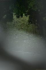 1000066610