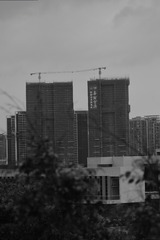 1000067852