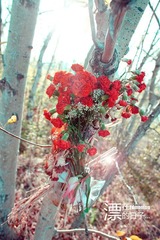 IMG_1633-3