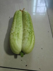1000018127