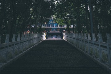 1000040267