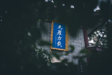 1000040266