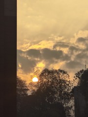1000011123