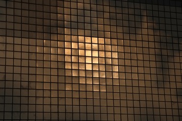 1000001299