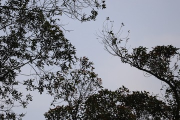 1000054629