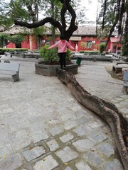 18054