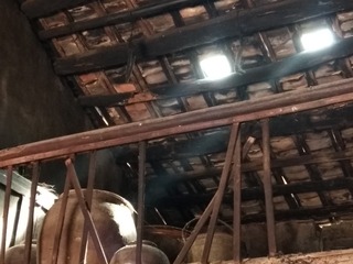 386497