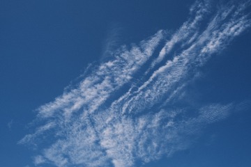 1000028764