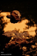 xDSC_9098.jpg
