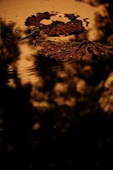 xDSC_9102.jpg