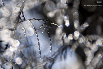 xDSC_9185.jpg