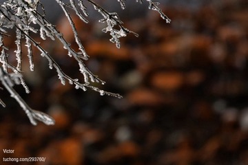 xDSC_9251.jpg
