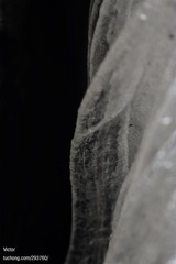xDSC_9306.jpg
