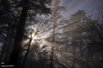xDSC_0069.jpg