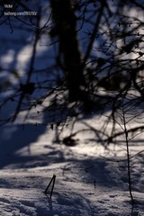 xDSC_0137.jpg