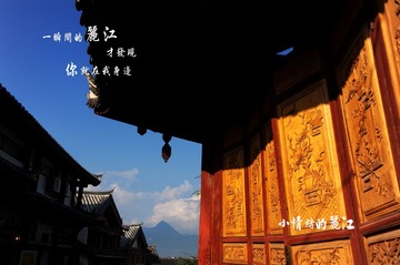 x照片 006.jpg