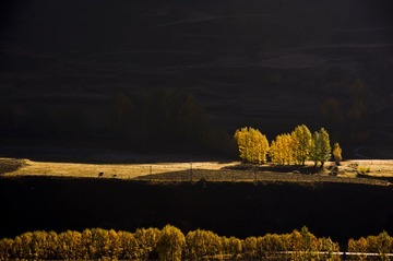 xDSC_6035