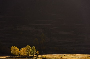 xDSC_6033