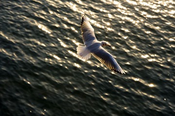 xDSC_6357