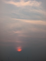 1000023213
