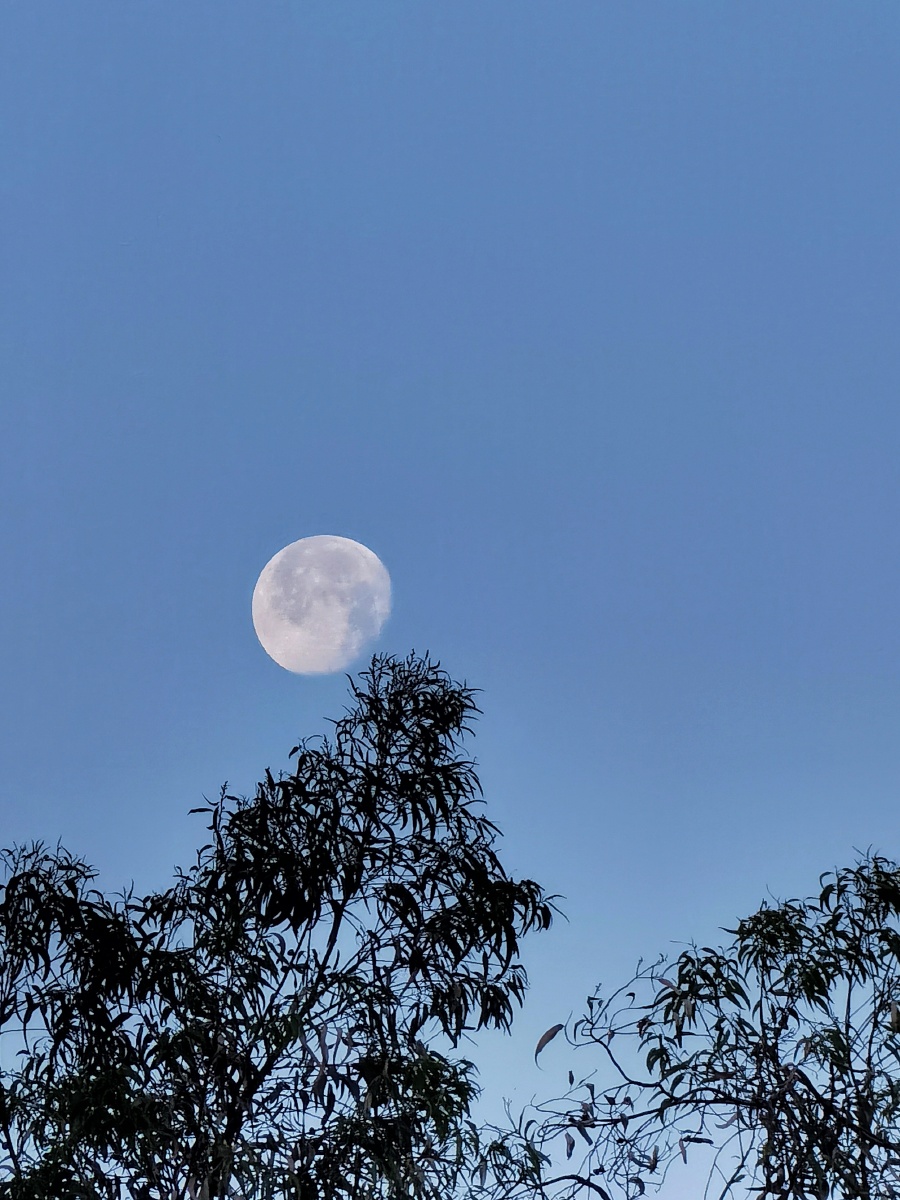 晓月有感晓风不解夜愁寒冷月更添泪阑潸纵目关山难越路凌天壮志在云间
