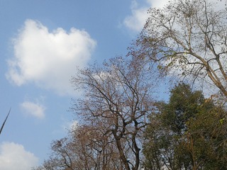 4590249