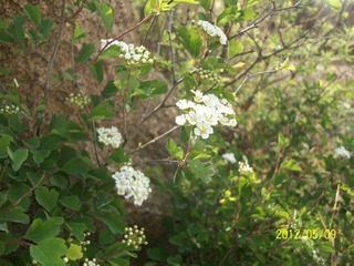 100_5211.JPG