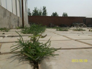 100_5242.JPG