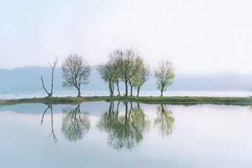 14605