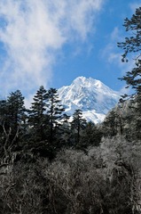 贡嘎远眺
